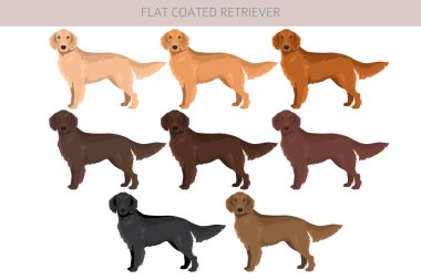 Düz kaplama av köpeği tırnağı. Farklı pozlar, farklı renkler. Vektör illüstrasyonu