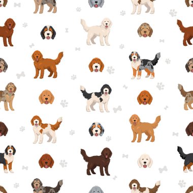 Altın karalama klipsi. Golden retriever kaniş karışımı. Farklı ceket renkleri. Vektör illüstrasyonu