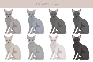 Rus Mavi Kedi klibi. Tüm ceket renkleri ayarlandı. Tüm kediler karakteristik bilgi kaynaklarına sahiptir. Vektör illüstrasyonu