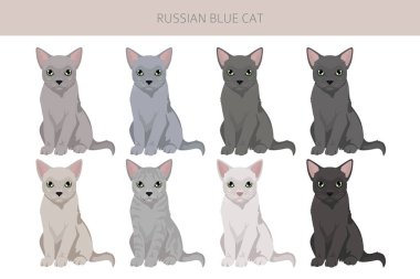 Rus Mavi Kedi klibi. Tüm ceket renkleri ayarlandı. Tüm kediler karakteristik bilgi kaynaklarına sahiptir. Vektör illüstrasyonu