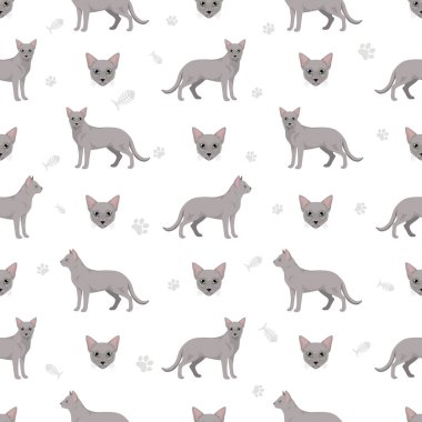 Rus Mavi Kedi klibi. Tüm ceket renkleri ayarlandı. Tüm kediler karakteristik bilgi kaynaklarına sahiptir. Vektör illüstrasyonu