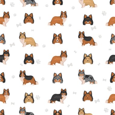 Sheltie, Shetland çoban köpeği klibi. Farklı pozlar, farklı renkler. Vektör illüstrasyonu