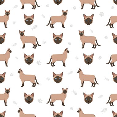 Siyam kedisi (Tayca). Geleneksel (klasik) tip. Tüm ceket renkleri ayarlandı. Tüm kediler karakteristik bilgi kaynaklarına sahiptir. Vektör illüstrasyonu