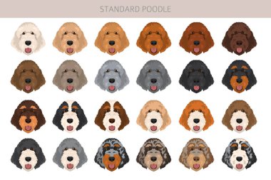 Standart kaniş köpekleri klipsi. Tüm ceket renkleri ayarlandı. Vektör illüstrasyonu