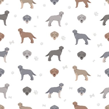 Weimardoodle klipsi. Weimaraner kaniş karışımı. Farklı ceket renkleri. Vektör illüstrasyonu