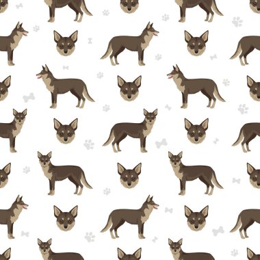 Coydog klipsi. Çakal - kubbeli köpek karışımı. Farklı ceket renkleri. Vektör illüstrasyonu