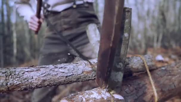 Brennholz Für Den Winter Vorbereiten Holz Zum Heizen Hause Holz — Stockvideo