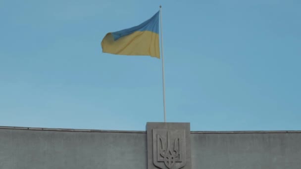 Політ Птахів Тлі Українського Прапора — стокове відео