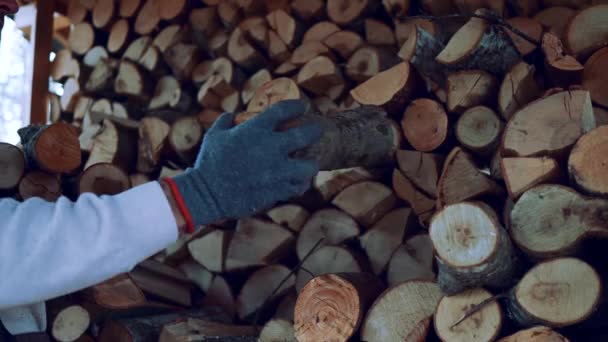 Готуємо Дрова Зиму Деревина Опалення Будинку Подрібнити Деревину Колоду — стокове відео
