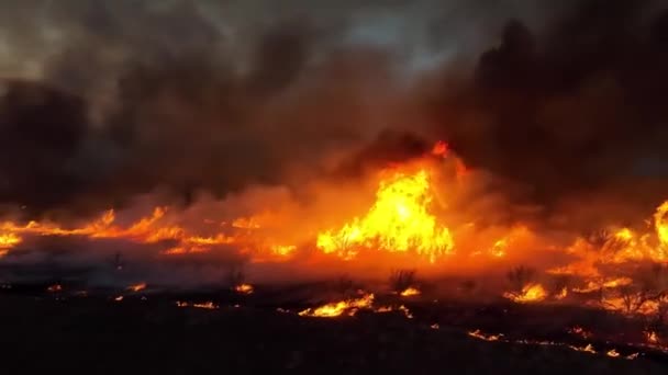 Erdőben Tűzben Futótüzet Szívok Éghajlatváltozás Ökológia Föld Környezetvédelmi Kérdések — Stock videók