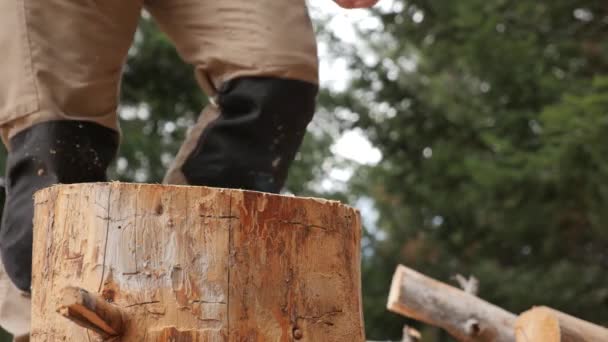 Brennholz Für Den Winter Vorbereiten Holz Zum Heizen Hause Holz — Stockvideo