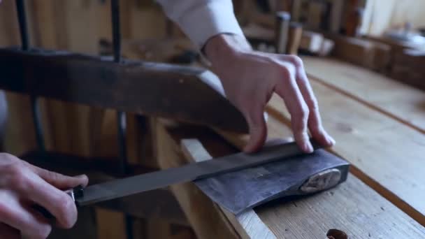 Spitzen Sie Die Axt Vorbereitung Auf Den Holzeinschlag Holzernte Für — Stockvideo