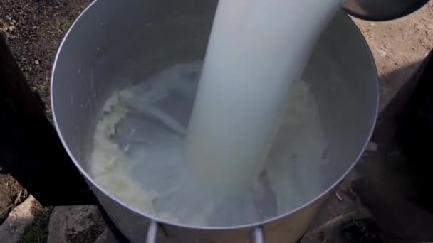 新鮮な牛乳が金属製のバケツに注いでいます — ストック動画