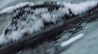 Silecekler temiz kar kaplı ön camlar