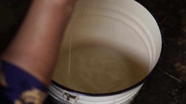 Latte Fresco Sta Versando Secchio Metallo — Video Stock