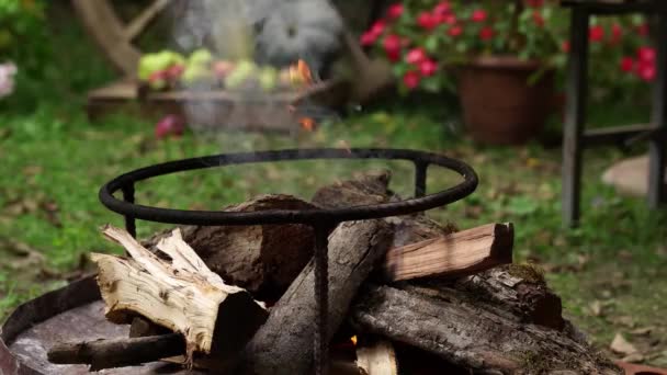 Ognisko Strefa Grillowania Wakacje Poza Miastem Ognisko Płonące Drewno Opałowe — Wideo stockowe