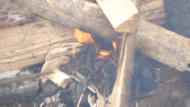 Kindle Fire Burning Logs Boards Fire Light Fire Kindling Firewood — Video