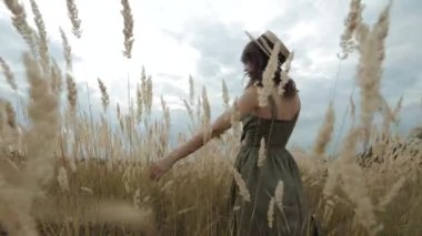 Tüylü otlarla altın bir tarlada yürür.