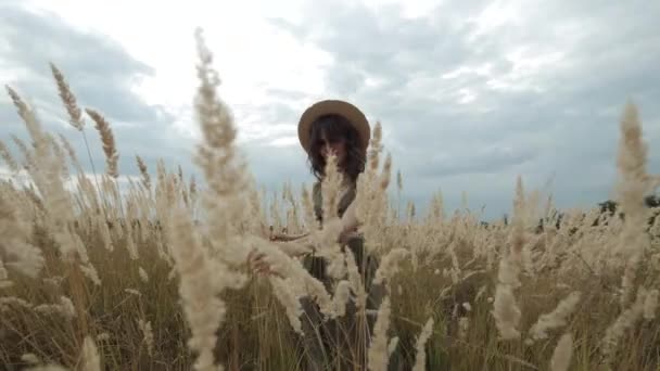 Walks Golden Field Feather Grass — Videoclip de stoc