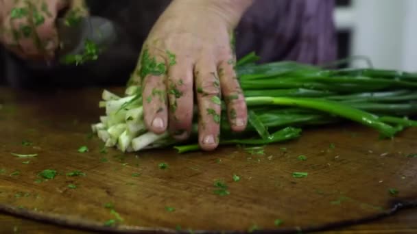 Cut Greens Prepare Salad — Video Stock