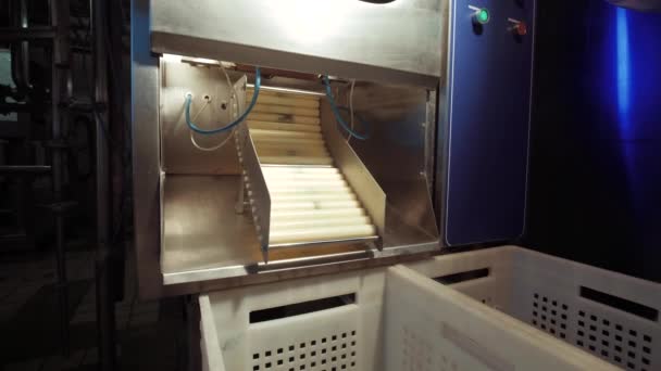 Pack Milk Dairy Factory Conveyor Line Automatic Machine — Stockvideo