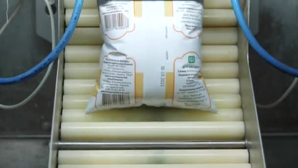 Pack Milk Dairy Factory Conveyor Line Automatic Machine — Wideo stockowe