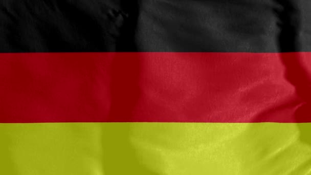 Duitse Vlag Animatie Van Duitse Vlag Landsymbool Naadloze Lus Animatie — Stockvideo