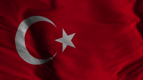 Türk Bayrağı Türk Bayrağının Animasyonu Arkaplan Olarak Türk Bayrağı — Stok video