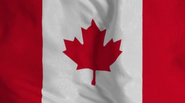 Canadian flag. Seamless loop animation of the Canada flag. 4K