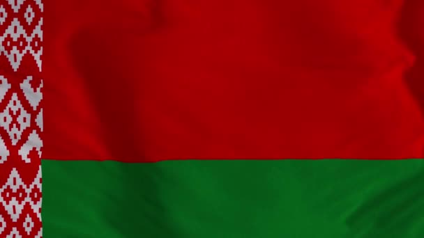 Belarus Flag Seamless Loop Animation Belarus Flag Animation Flag — Vídeo de stock