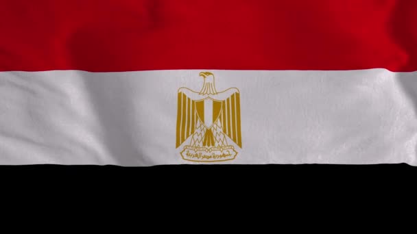 Egyiptom Zászlója Zökkenőmentes Ciklus Animáció Egyiptomi Zászló Animáció Nemzeti Zászló — Stock videók