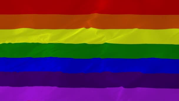 Rainbow Lgbt Process Flag Безшоломна Анімація Символу Лесбійського Гей Прапора — стокове відео