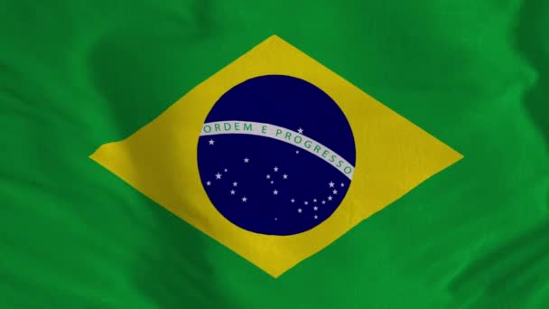 Bandeira Brasil Animação Loop Sem Costura Brasil Animação Bandeira Nacional — Vídeo de Stock