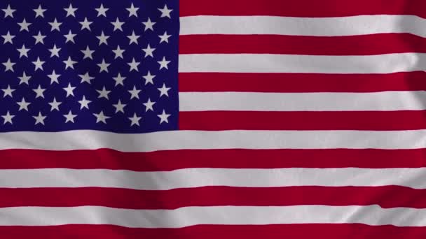 Американский Флаг Бесшовный Цикл Анимации Американского Флага Флаг Страны Анимации — стоковое видео