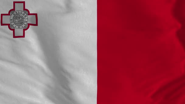 Malta Bayrağı Malta Bayrağı Nın Kusursuz Döngü Animasyonu Bin Animasyon — Stok video