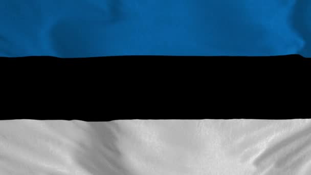 Bandera Estonia Animación Sin Fisuras Bandera Estonia Animación Bandera Nacional — Vídeo de stock