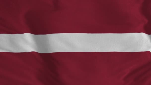 Lettország Zászló Lett Zászló Zökkenőmentes Hurkos Animációja — Stock videók