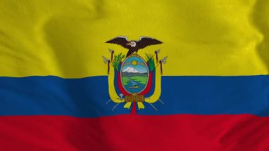Ekvador bayrağı. Ekvador bayrağı 4K 'nın kusursuz döngü animasyonu