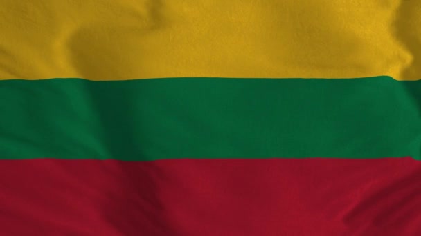 Litvánia Zászlója Litván Zászló Zökkenőmentes Hurkos Animációja Ország Szimbólum — Stock videók