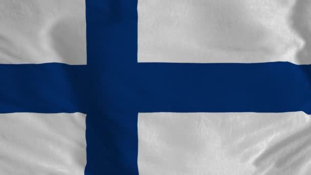Animation Finlands Flagga Republiken Finland Flagga Hissar Finland Flagga Göra — Stockvideo