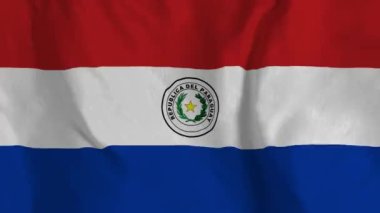 Paraguay bayrağı rüzgârda dalgalanırken 4K Ulusal Bayrak 'ta yüksek kalitede dalgalanır. Paraguay bayrağının kusursuz döngü animasyonu.