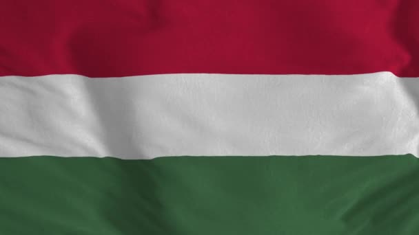 헝가리 바다없는 루프의 깃발을 펼치다 애니메이션 — 비디오