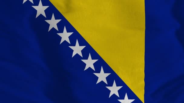 ボスニア ヘルツェゴビナ国旗ビデオ 3Dボスニア ヘルツェゴビナの旗がシームレスなループビデオアニメーションを振って — ストック動画