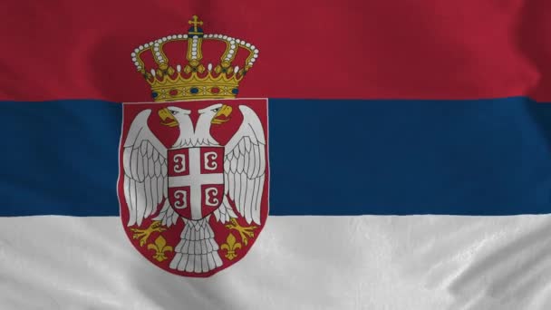 Flag Serbia High Quality Resolution — Vídeo de stock