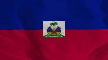 Haiti bayrağı sallamak, Haiti bayrağı, Haiti bayrağı, Haiti bayrağı. Mov, Alfa kanalı, Şeffaf, Döngüye dayanıklı.