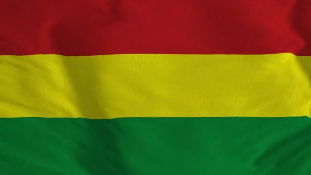 National Animated Sign Bolivia Animated Bolivia Flag Εθνική Σημαία Της — Αρχείο Βίντεο