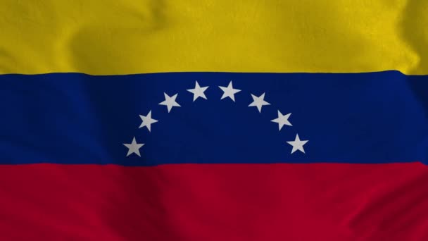 Прапор Венесуели Венесуела Прапор Прапор Венесуели Waving Animation Венесуела Прапор — стокове відео