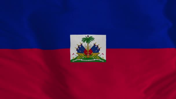 ハイチの旗 風にハイチの旗 ハイチの旗 アニメーションハイチの旗 Mov アルファチャンネル ループ対応 — ストック動画