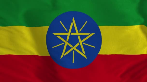 Σημαία Της Αιθιοπίας Κυματιστή Σημαία Της Αιθιοπίας Καθιστούν Απρόσκοπτη Κίνηση — Αρχείο Βίντεο