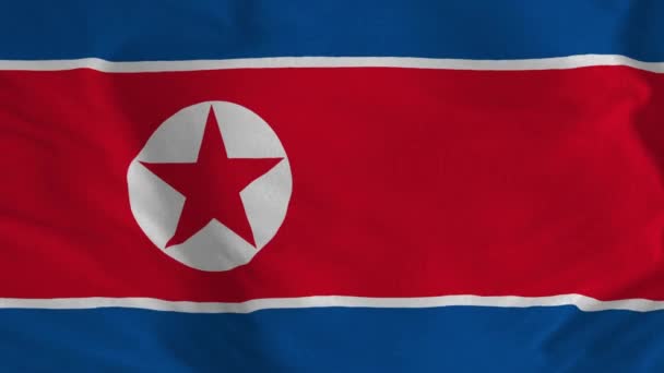 Animação Bandeira Norte Coreana Bandeira Coreia Norte Voando Bandeira República — Vídeo de Stock